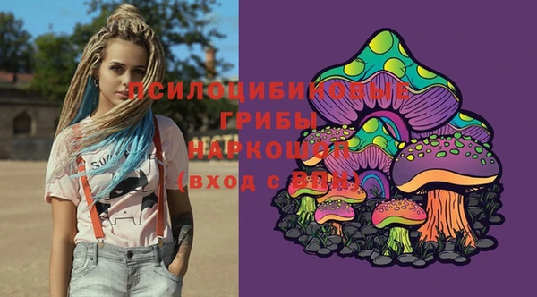 МДПВ Аркадак