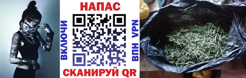 Канабис MAZAR  Межгорье 